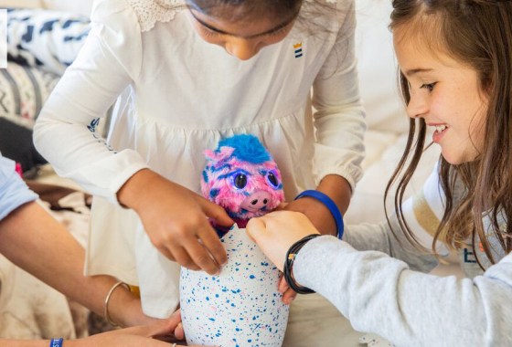 Hatchimals Colleggtibles vs. Hatchimals Pixies