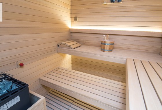 Best sauna heater