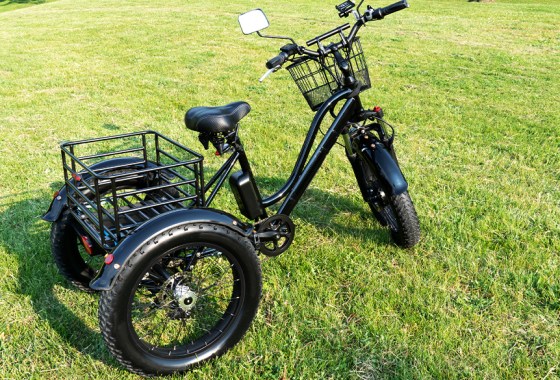 Best electric trike