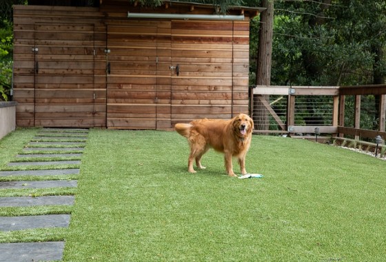 Which dog house is best for summer?