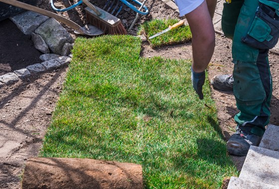 Best sod cutter