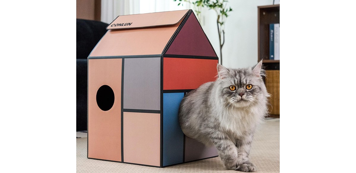 Conlun Cardboard Cat House with Cat Scratch Pad&amp;Catnip