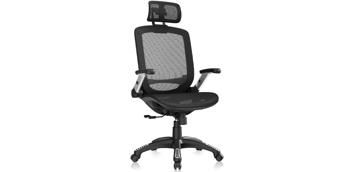 GABRYLLY Ergonomic Office Chair
