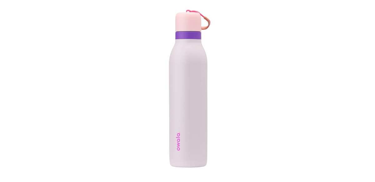  Owala FreeSip Twist Insulated Stainless Steel Water Bottle with Straw-Dreamy Field