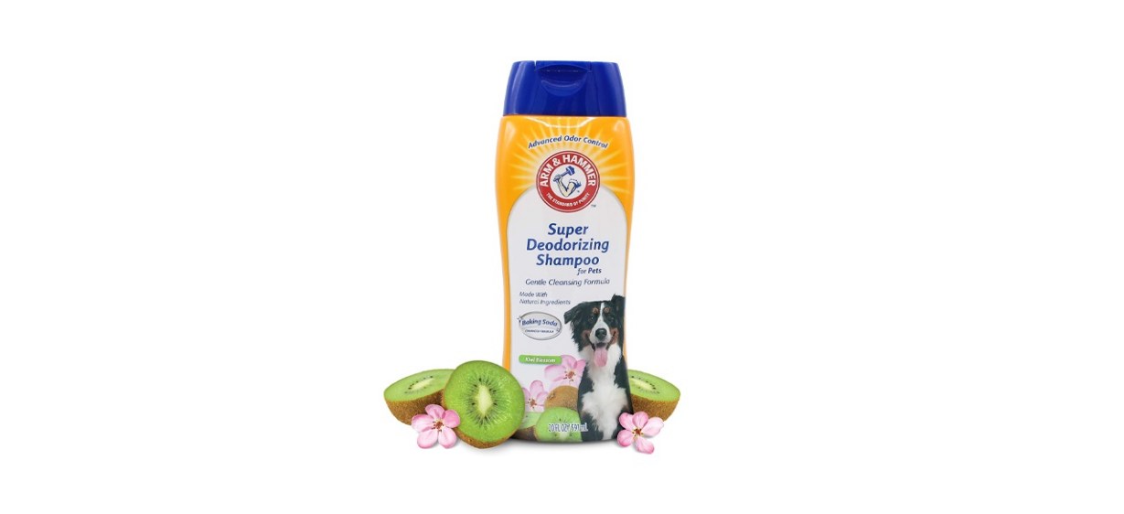 Arm &amp; Hammer Super Deodorizing Shampoo for Dogs