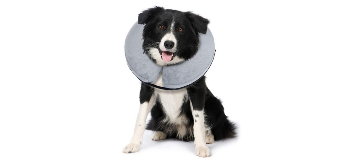 Bencmate Protective Inflatable Collar