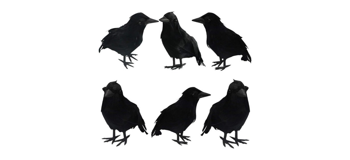 Best Funpeny Halloween Crows