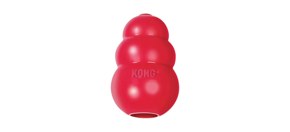Best KONG Classic Dog Toy