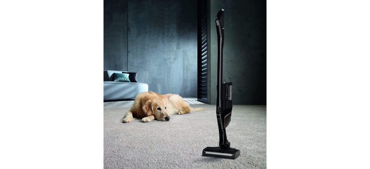 5 Best Miele Vacuum