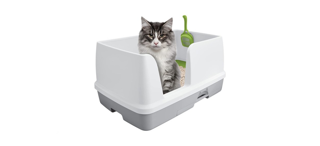 best Purina Tidy Cats Non-Clumping Litter System