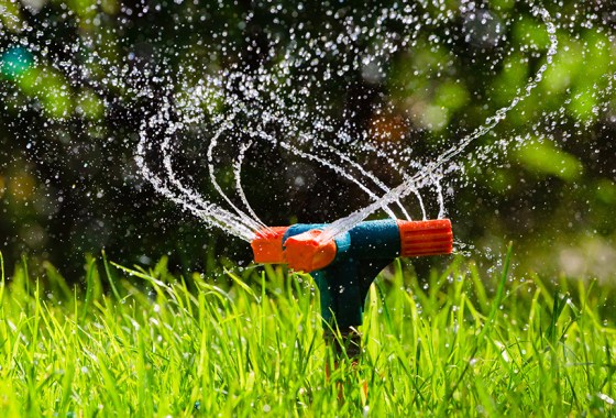 Best rotating lawn sprinkler