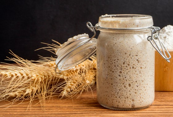 Best sourdough starter