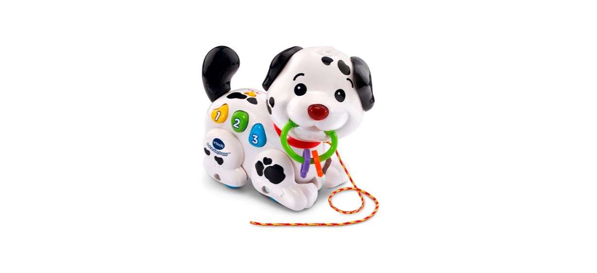 Best VTech Pull and Sing Puppy