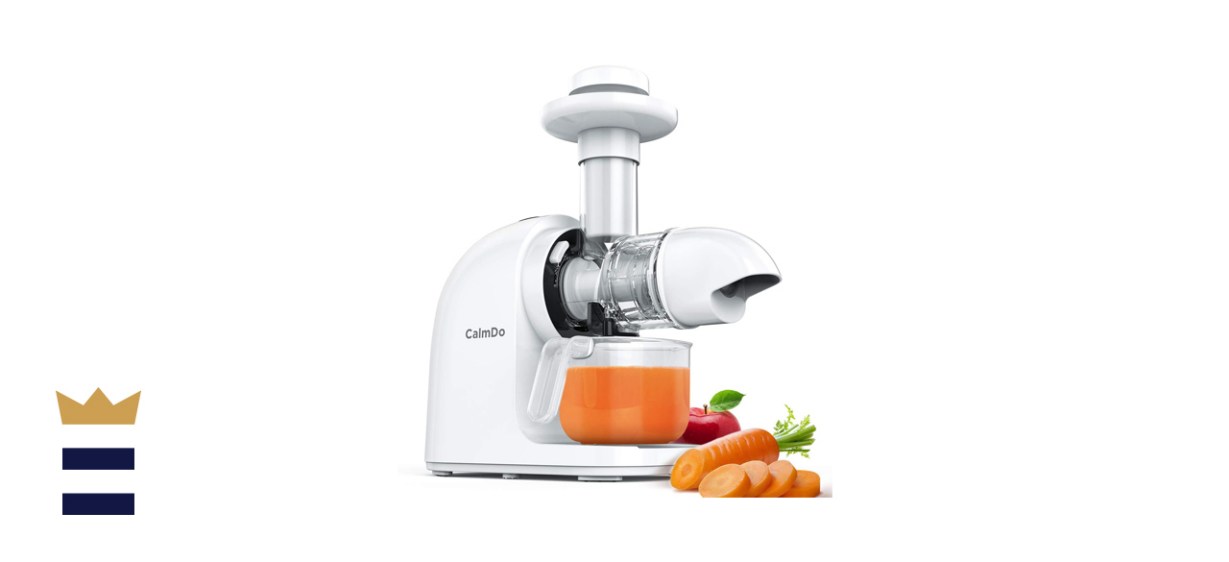CalmDo Masticating Juicer