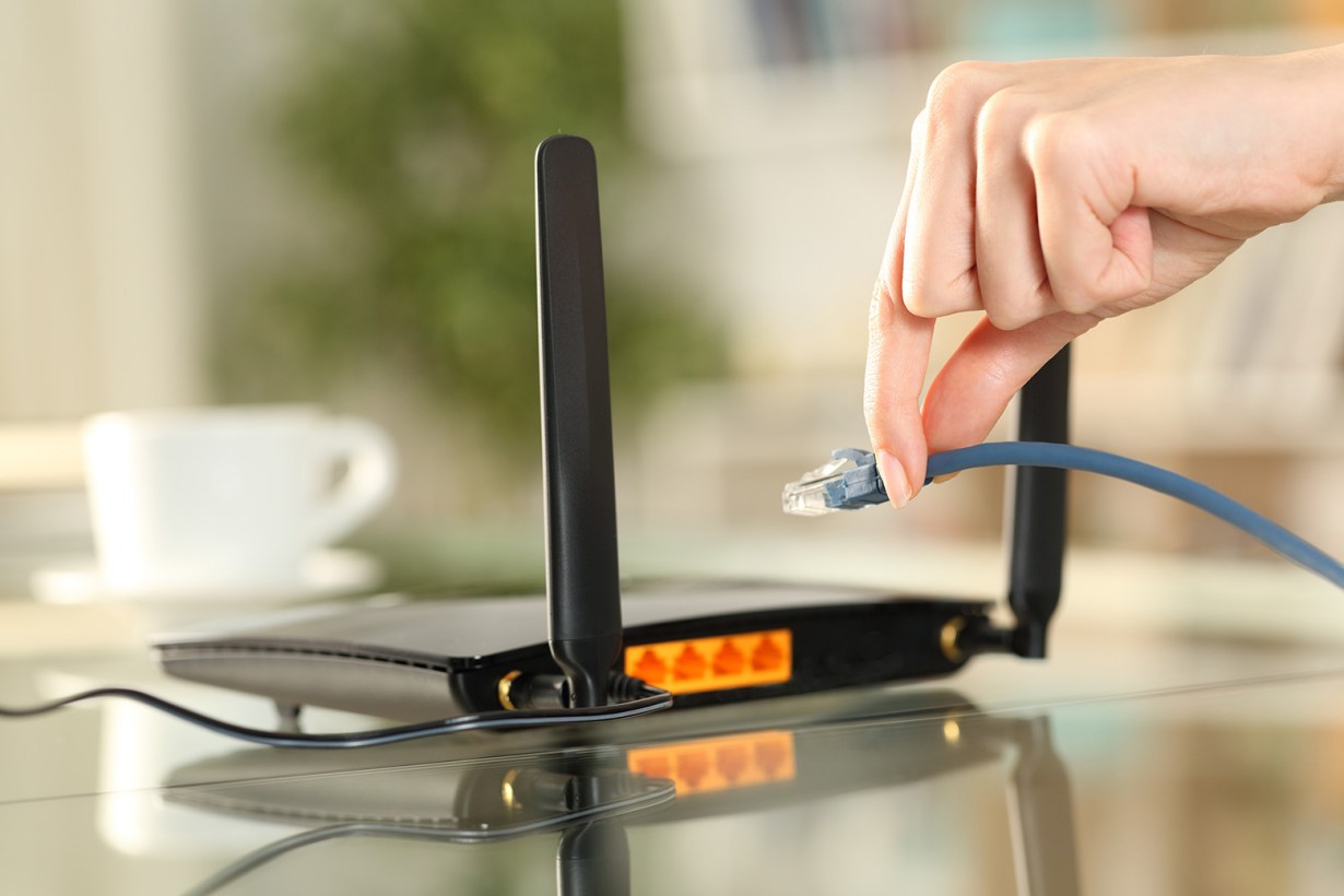 5 Best Cables July 2023 BestReviews