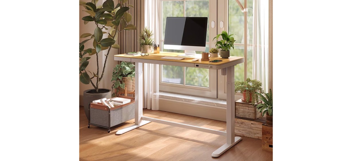 Best Flexispot Comhar Electric Standing Desk