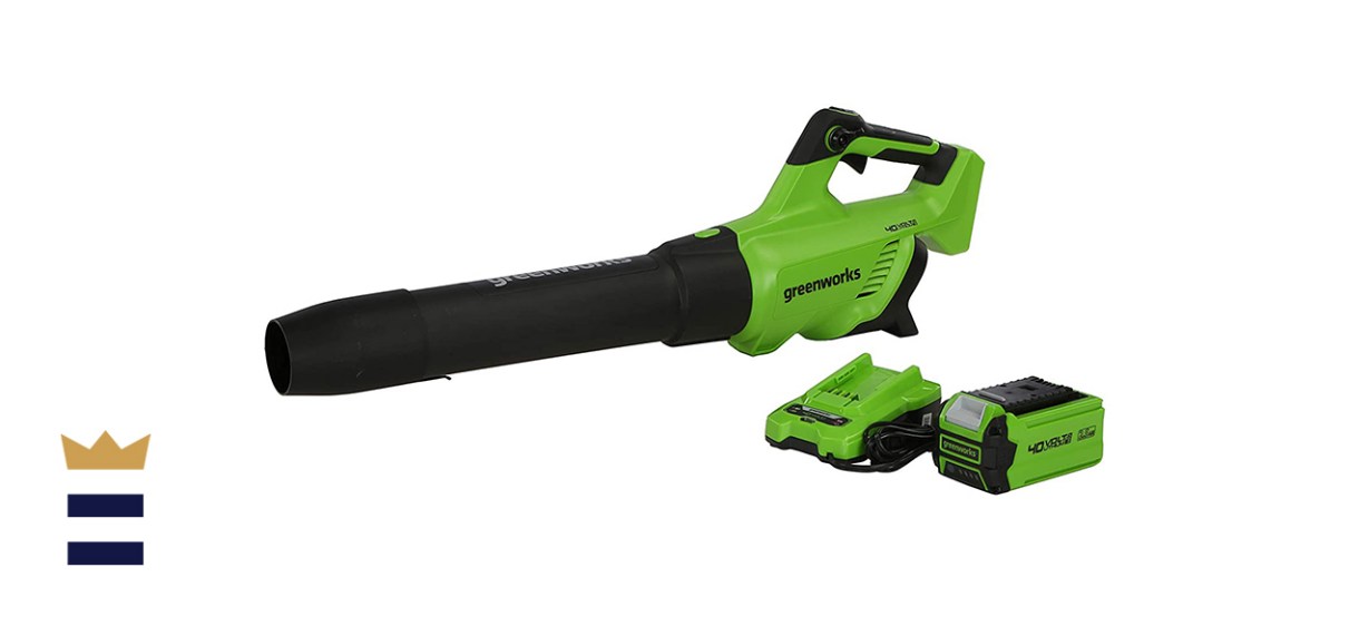 Greenworks 40V Blower