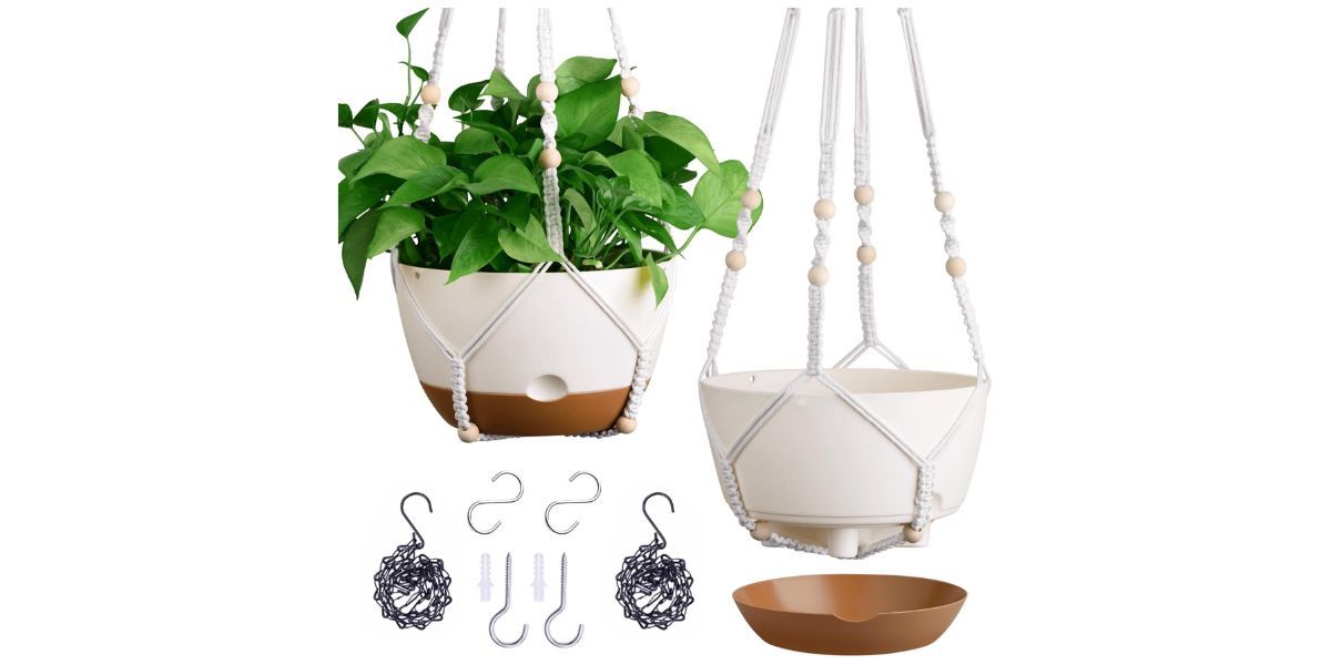 Montresor Set of 2-10 Inch Hanging Planters
