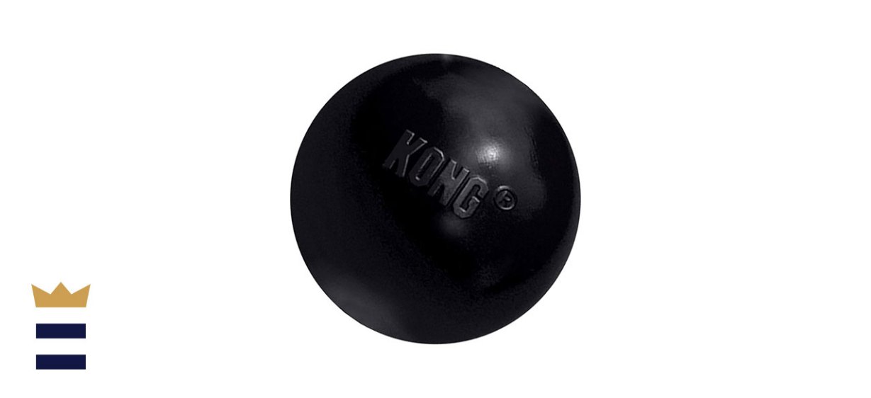 KONG Extreme Ball Dog Toy