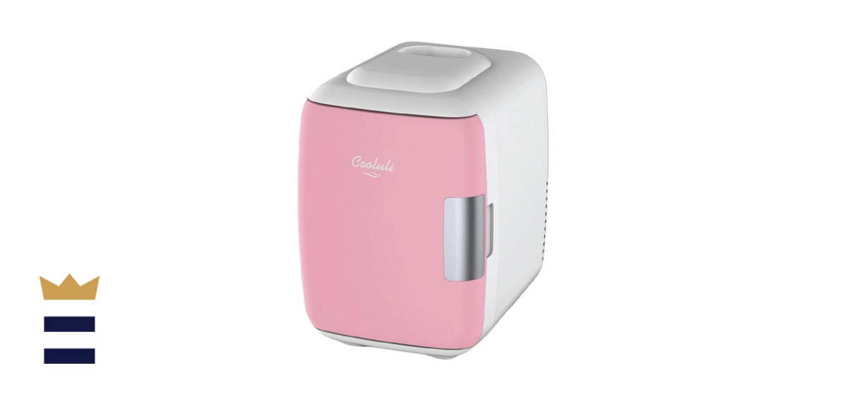 Mini Fridge for Bedroom