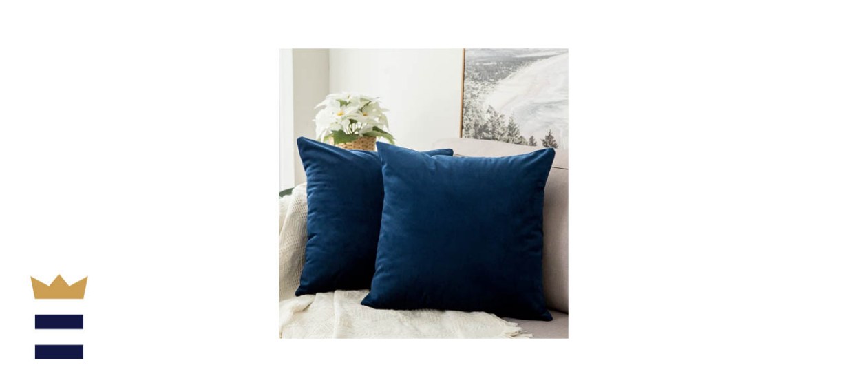 MIULEE Pack of 2, Velvet Soft Solid Decorative Square Throw Pillow Covers