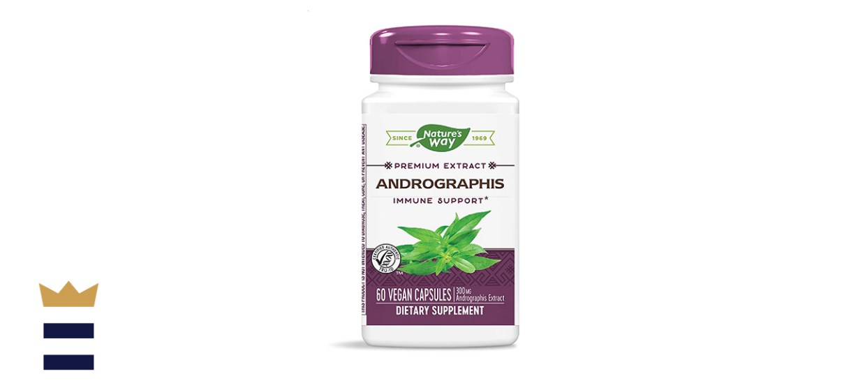 Nature's Way Andrographis