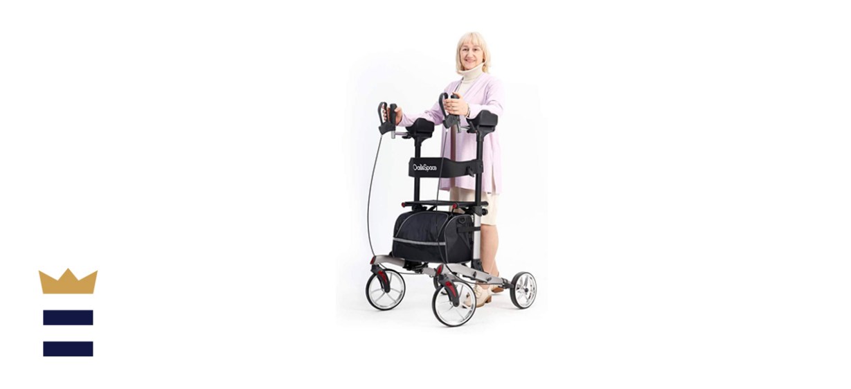 OasisSpace Tall Rollator Walker