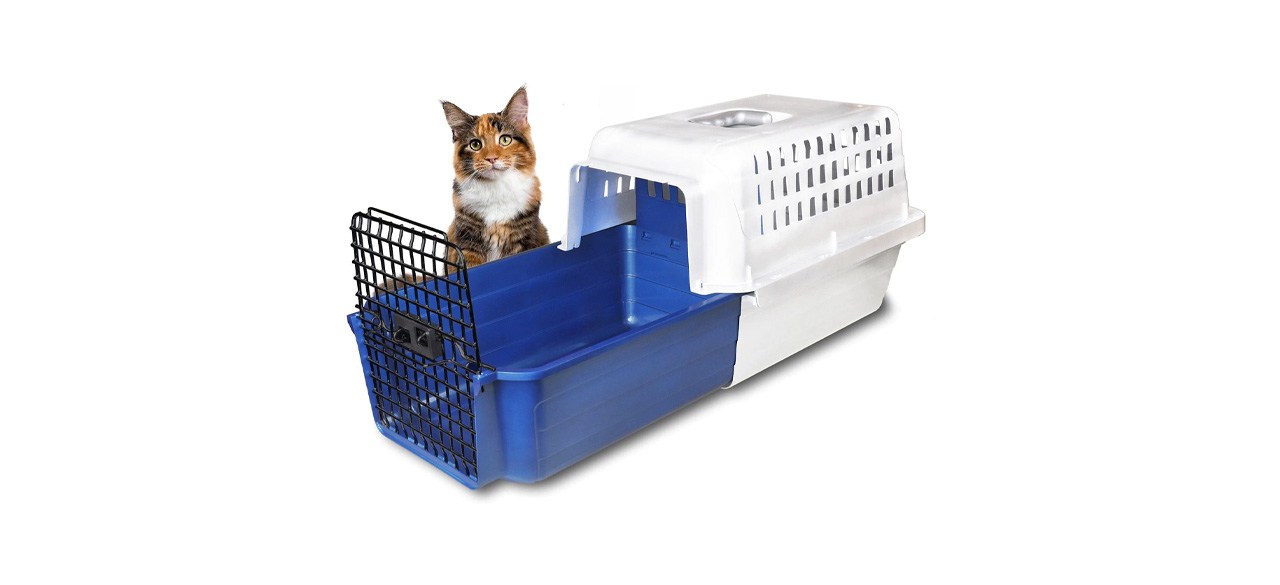 Best hard outlet sided cat carrier