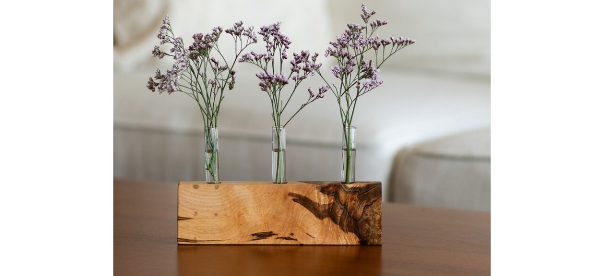 Best Propagation Vase