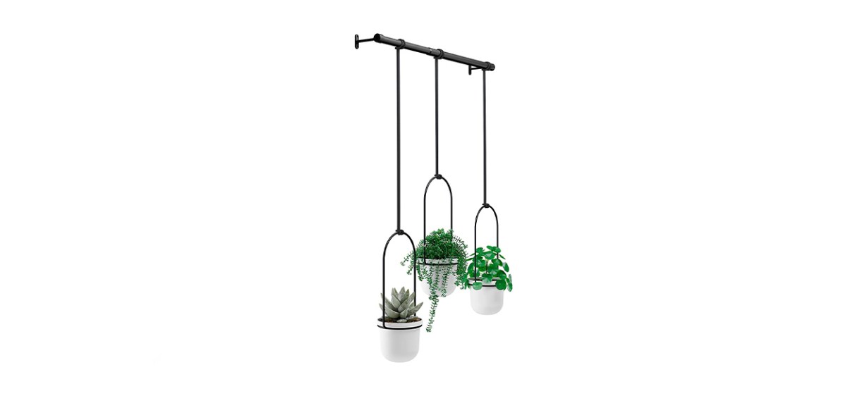 Umbra Triflora Three-Piece Hanging Planter