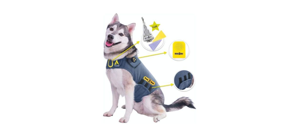 a husky wearing a Cozyvest 3-in-1 Anti-Anxiety Jacket. Arrows point to the different features of the vest (place for essential oils, music player and compression wrap).. 