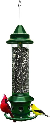 Brome Squirrel Buster Plus