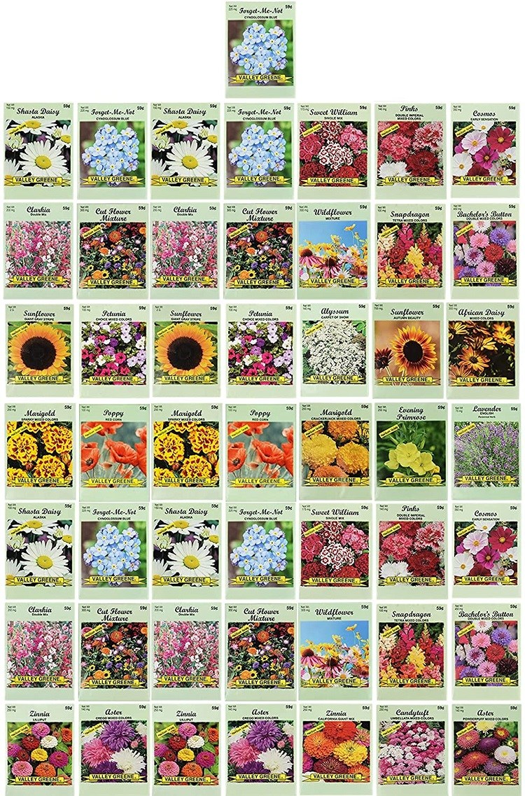Black Duck Brand Set of 50 Flower Seed Packets