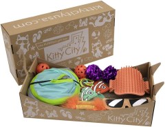 Kitty City Deluxe Cat Toy Box