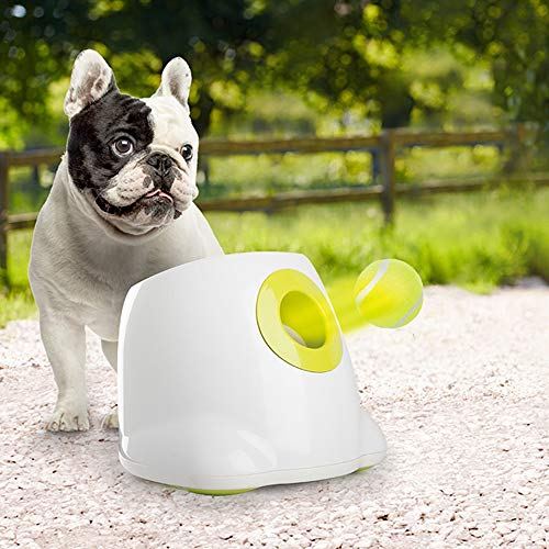 best ball launcher for dogs