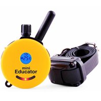 E-Collar Technologies Remote Dog Training Collar