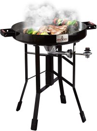 FireDisc Short Outdoor Portable Propane Cooker