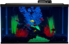 Glofish Aquarium Kit Fish Tank