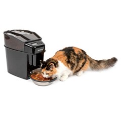 PetSafe Healthy Pet Simply Feed Automatic Feeder