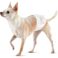 Amazon Basics  Dog Wraps for Males