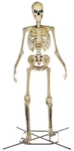 Home Accents Holiday