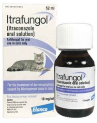 Itrafungol Oral Solution for Cats