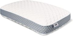 Sealy Molded Memory Foam Pillow