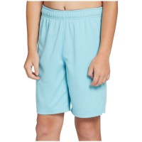 DSG Boys' Mesh Training Shorts