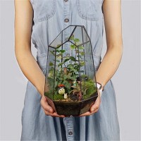 Libproqia Geometric Terrarium
