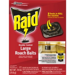 Raid
