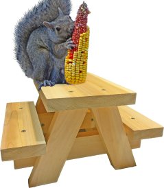 Nutraffect Large Squirrel Picnic Table Feeder