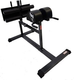 TDS Glute and Ham Developer Machine