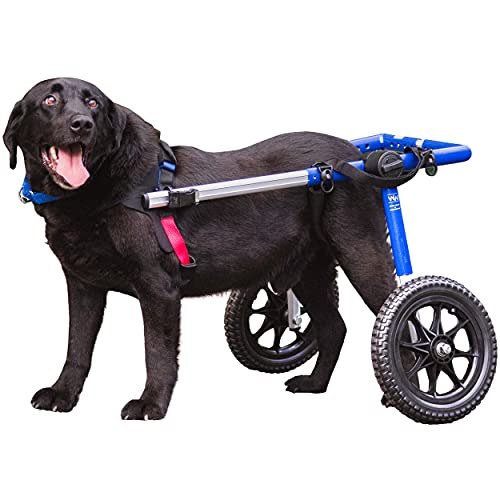 Walkin' Wheels Large Dog Wheelchair